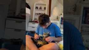 Cat Gets Most Relaxing Paw Massage From Owner