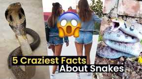 5 Things You Didn't Know about Snakes!