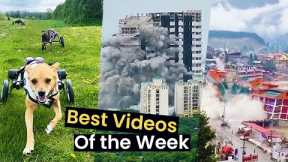 Top 15 Viral Videos of the Week