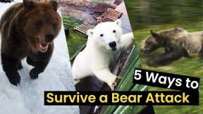 5 Things to do to Survive a Bear Attack