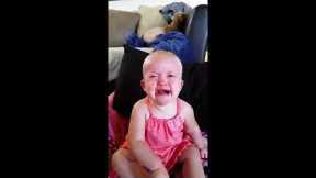 Toddler Stops Crying Immediately When Given Cookie