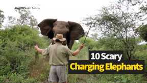 Scariest Charging Elephant Moments