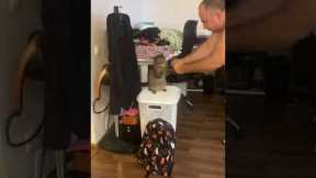 Man and his cat practice boxing together