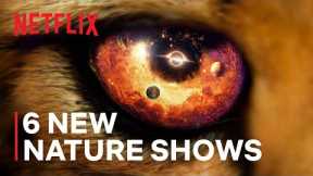 6 Mind Blowing New Nature Documentaries | Only on Netflix