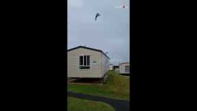 Prankster wakes neighbours by luring flock of seagulls onto caravan roof