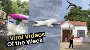 Top 10 Videos of the Week
