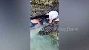 Heartwarming moment tourists save sea turtle trapped in rope at beach in Bali