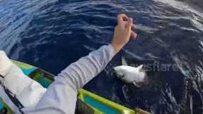 Hungry shark attempts to rip tuna right out of fisherman's hand