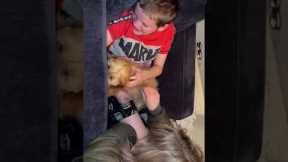 Disabled boy overcome with joy as he gets his own therapy dog