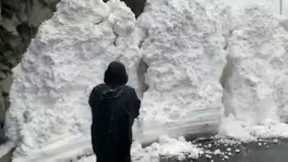Motorists flee as huge avalanche slides onto road in northern India