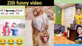 new funy video//zili funy viral video//raato rat viral zili funy video zilli funny video😂😂