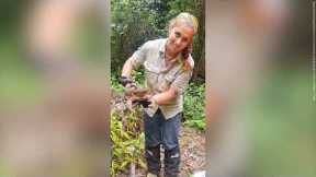 Workers find HUGE Cane Toad and named it Toadzilla cause of it's size!