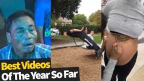 50 Best Viral Videos Of The Year, So Far (2019)