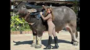 Farmer shows off her HUGE prize-winning buffalo