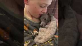 Boy reassures shaking puppy after its bath