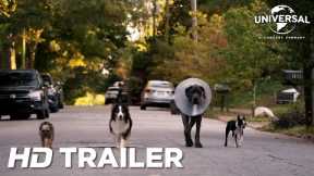 STRAYS – Official Trailer