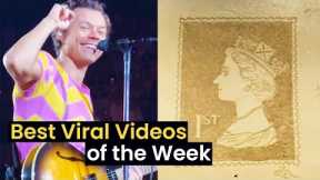 Best Viral Videos of the Week