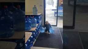 Adorable toddler helps family carry 5-gallon water jugs