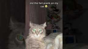 Girl pranks her pet cat with long fart audio
