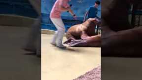 Naughty walrus slaps friend