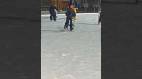 Ice skaters try to catch loose dog