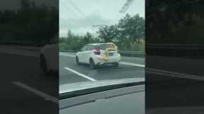 Huge python spotted laying on a car on the highway