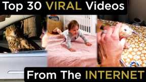 Top 30 Best Viral Videos Caught On Camera | Funny Videos