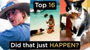 Top 16 Unbelievable Moments Caught On Camera