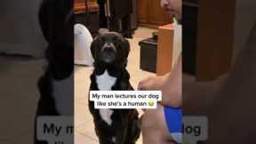 Man disciplines his dog like a human