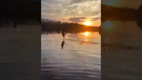 Eagle quickly swoops in and grabs fish 😱