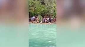 Tourists flee as huge snake slithers into swimming pool