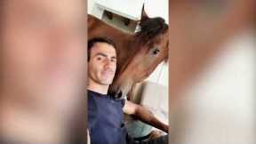 Meet the man who is best friends with a HORSE