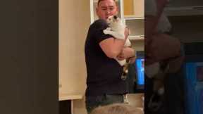Protective cat defends owner