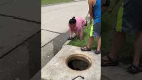Rescuing young fawn trapped inside storm drain