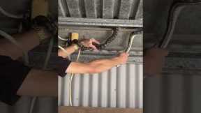 Aussie catches a rouge snake