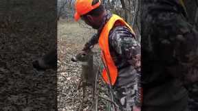 Trapped deer shows affection to hunters that rescued it