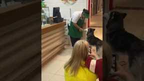 Yogurt shop employee gives delicious treat to husky