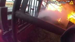 Hero policeman rescues three cows stuck inside burning barn in Wisconsin