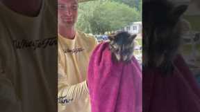 Kindhearted man saves scared baby raccoon from drowning in lake