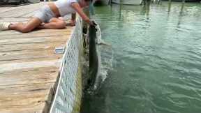 Little girl's arm nearly taken off by giant tarpon while feeding it