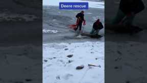 Good samaritans in Canada save frozen deer stranded on ice