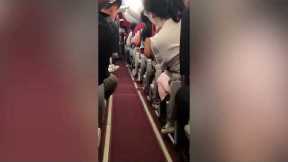 Flight attendant catches pet cat running along plane cabin aisle