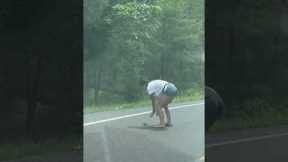 Helping a baby snapping turtle safely cross the road
