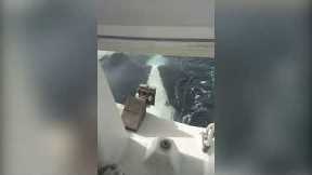 Sailor captures terrifying moment orca attacks his boat