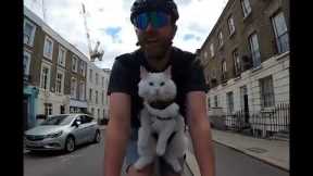 Totally relaxed deaf cat enjoys cycle trips around london