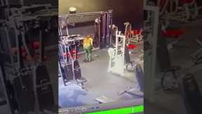 Curious turtle wanders into the gym