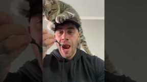 Clingy cat climbs on man's head while he tries to eat his lunch