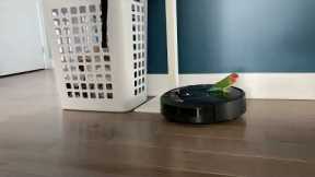 Cute bird has fun playing with robot vacuum while it cleans the house