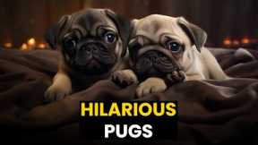 TOP 30 - The FUNNIEST & CUTEST Pugs | Caught On Camera