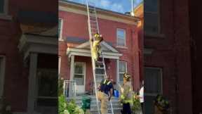Cat Jumps Out of Firefighter's Arms While Being Rescued